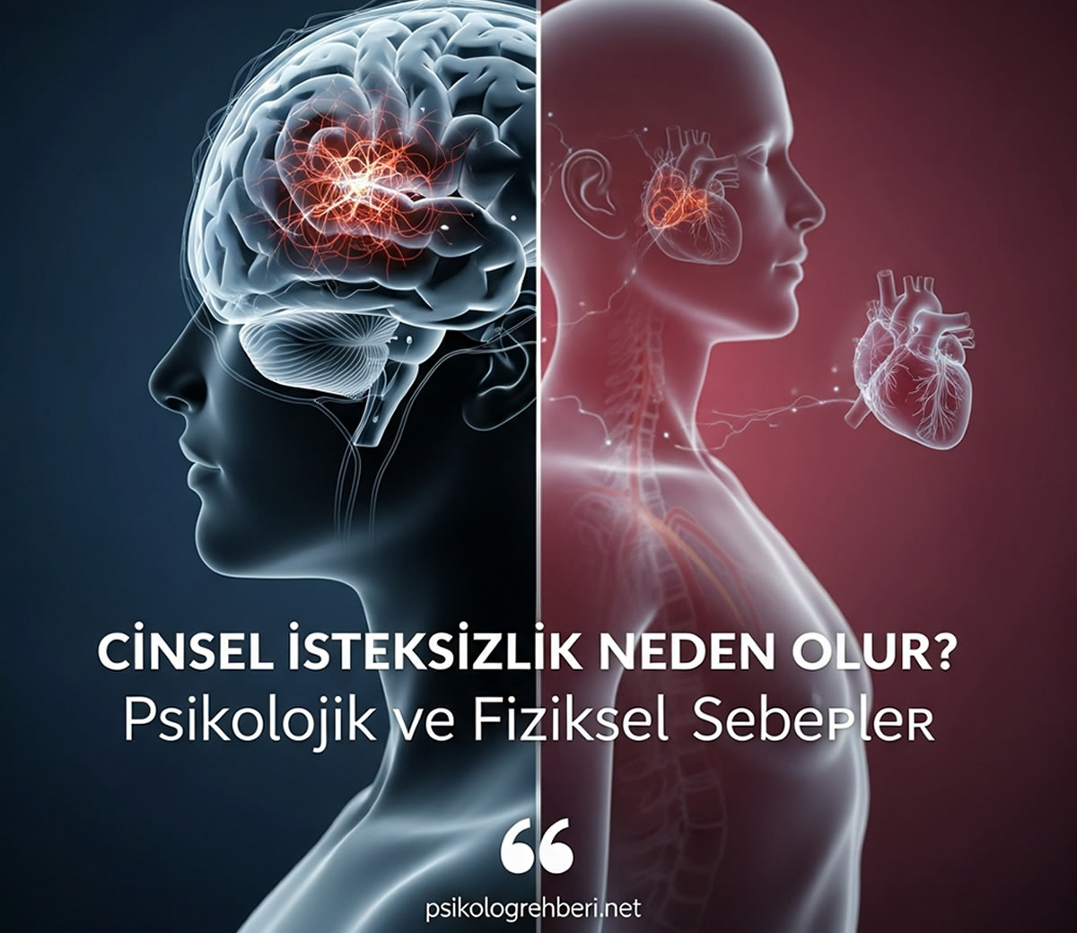 cinsel İsteksizlik neden olur psikolojik ve fiziksel sebepler