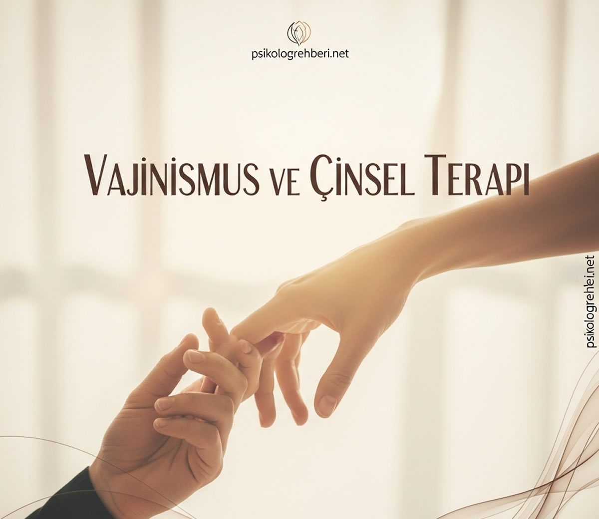 vajinismus ve cinsel terapi